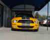 2007 Shelby